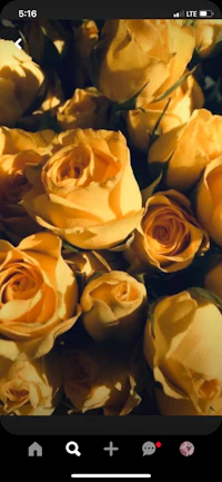 a photo of a bunch of yellow roses on an iphone