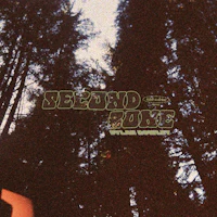 a photo of a man in a forest