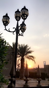 a street lamp in front of a palm tree at sunset