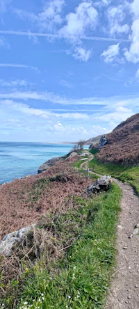 a path leading to the ocean near a grassy area
