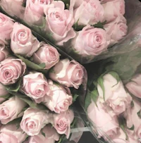 a bunch of pink roses are sitting on a table