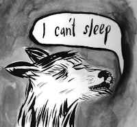 a drawing of a deer with the words i can't sleep