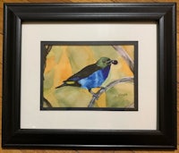 a watercolor painting of a blue bird on a branch