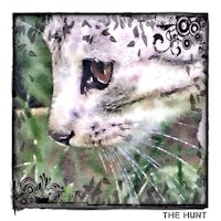an image of a cat with the words the hunt on it