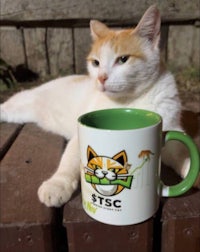 a cat sitting on a wooden bench next to a coffee mug