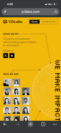 a screenshot of the yyllabs website
