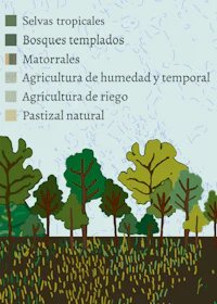 a diagram showing the types of trees in a forest