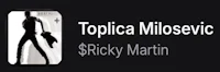ricky martin - topica milskovic