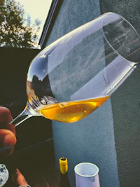 a person holding a wine glass