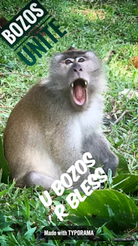 a monkey is yelling in the grass