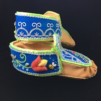 a pair of blue and green moccasins