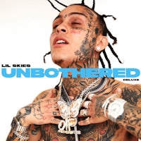 the cover of lil wayne's album, untoothered