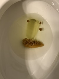 a toilet bowl with a piece of bread in it