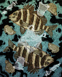 a drawing of a group of fish in the water