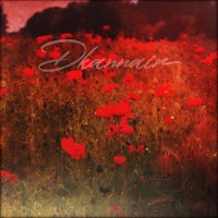 a photo of a field of red poppies