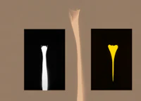 a black and white image of a flower and a yellow one