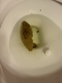 a toilet with a piece of food in it