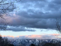 a view of the mountains from a park in salt lake city, utah