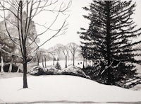 a black and white drawing of trees in the snow
