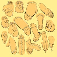 a group of different types of dicks on a yellow background