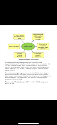 an example of a business plan for a company