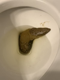 a toilet with a poop in it