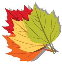 autumn leaves vector | price 1 credit usd $1