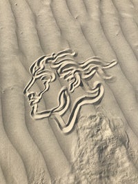 a sand drawing of a dog in the sand