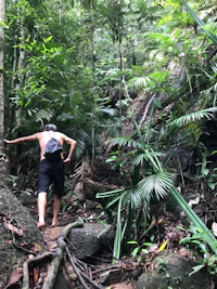 a man is walking through the jungle on a trail