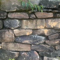 a stone wall with a lot of leaves on it