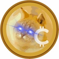 an image of a cat with blue eyes
