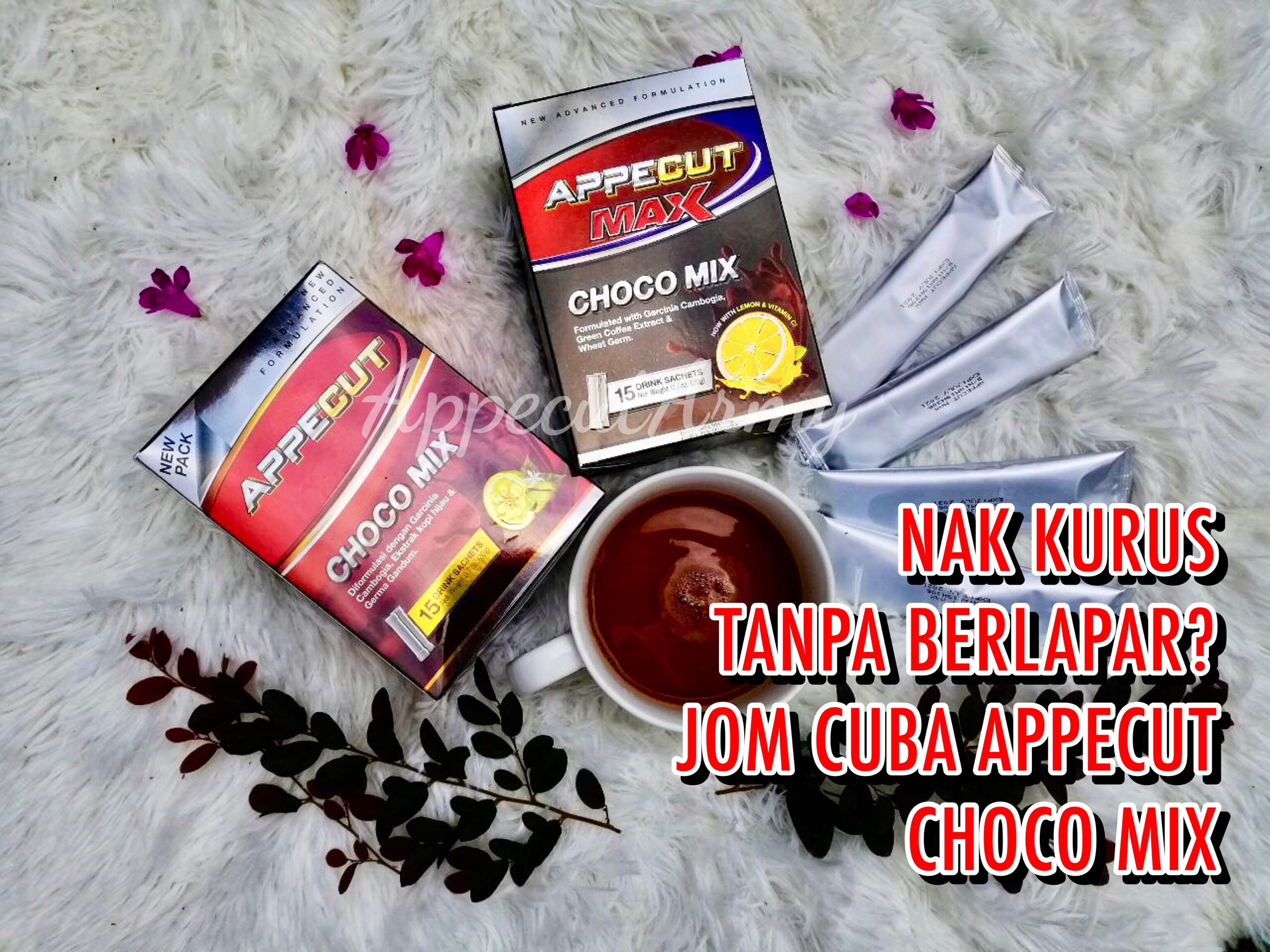 Appecut Kuching By Sherry