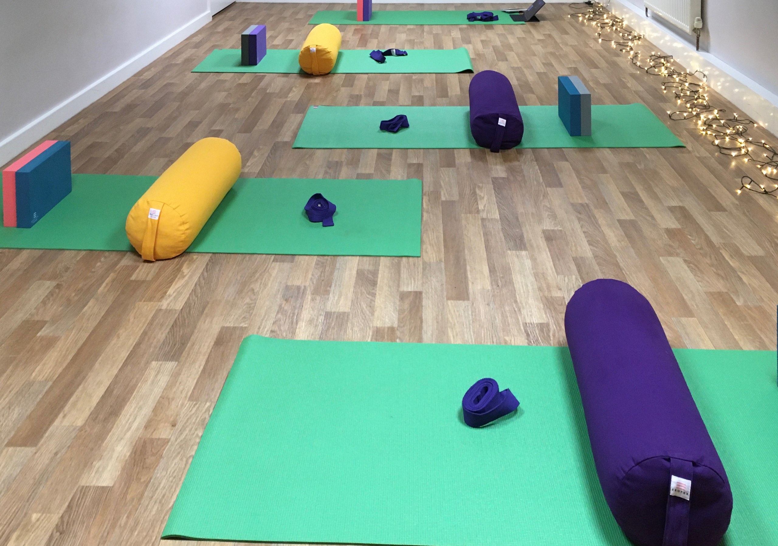 Janine Ford Therapies