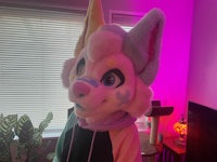 a cat mascot is standing in a living room