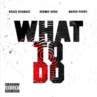 the cover of what to do by shazza