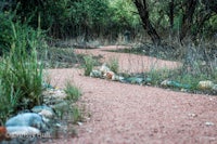 a path in the woods with rocks and bushes