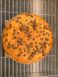 a chocolate chip cake sitting on a cooling rack