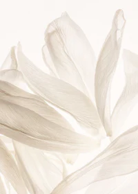 a white vase filled with dried grasses and flowers