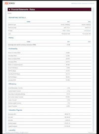 a screenshot of a business plan template