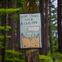 a sign that says why dogs but not cats pay