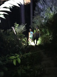 a person walking through a dark forest at night