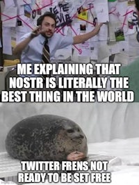 me explaining that nest is the best thing in the world twitter fens set free