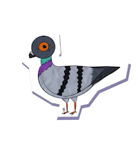 a cartoon pigeon on a black background