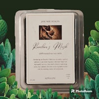 a box with cactus plants in it