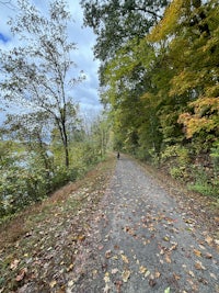 a person is walking down a path in the woods