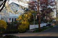 a man is hanging from a tree in front of a house