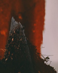 an image of a pile of dirt with a tree in the background