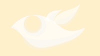 a white bird on a yellow background