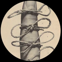 a black and white photo of a hand with a rope tied around it