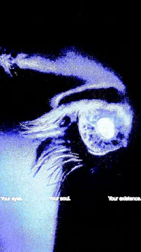 an image of a blue eye with the words'your presence'